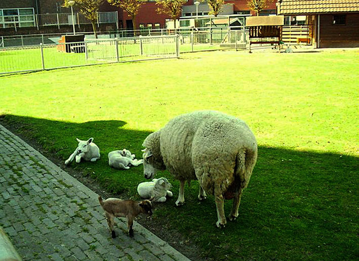 Welkom op Scheveningen Duindorp