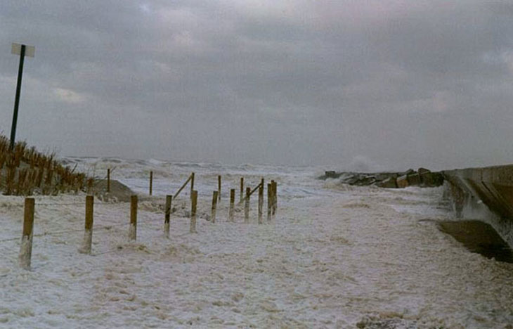 Welkom op Scheveningen Duindorp